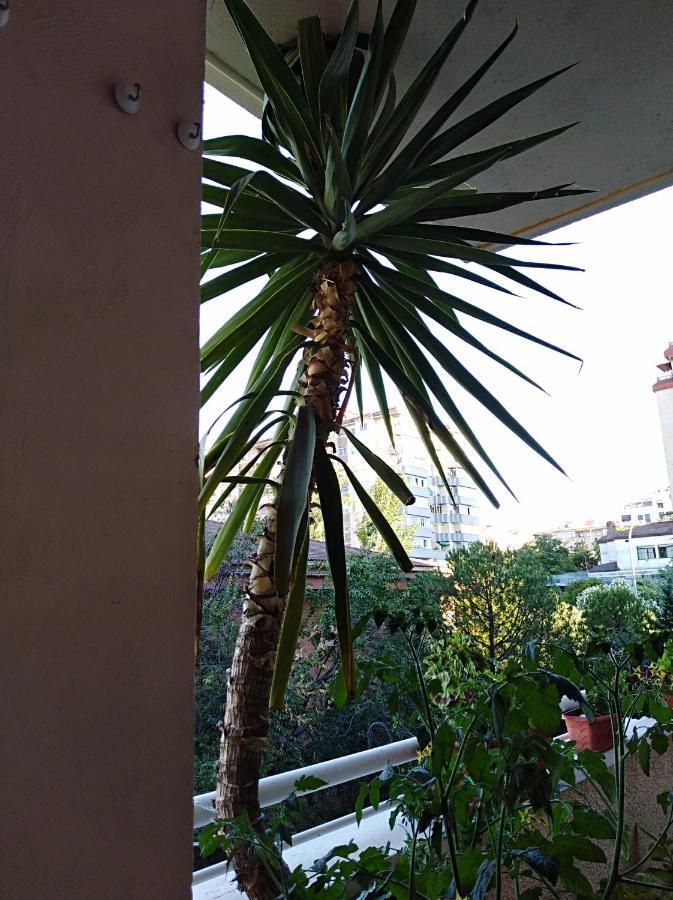 Apartamento Principe Caces Kültér fotó